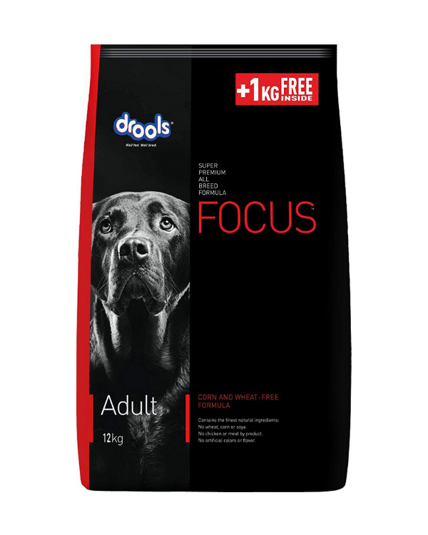 Drools Focus Adult Corn and Wheat Dog Dry Food | Multiple Sizes