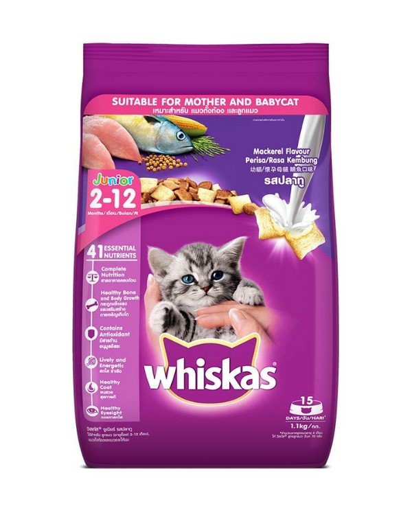 Whiskas junior mackerel