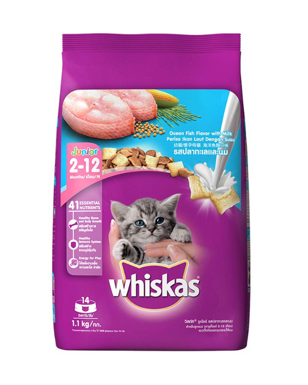 Whiskas Junior Ocean Fish Flavor Dry Food | Multiple Sizes |